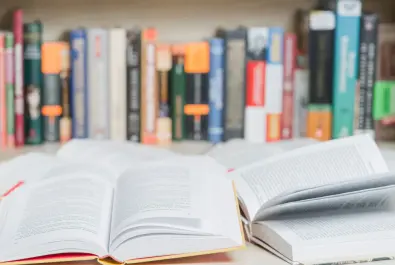 DOKTORA TEZİ DANIŞMANLIĞI